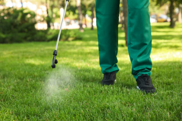Flea Control Services in Sonora, TX