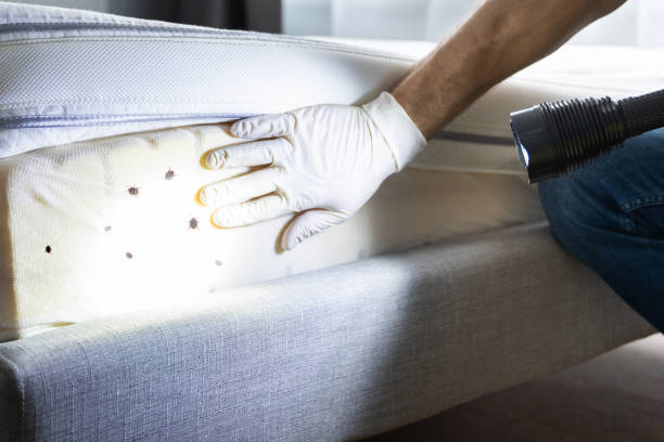 Best Pest Prevention Services  in Sonora, TX