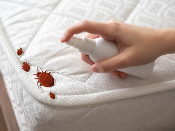 Pest Prevention Services in Sonora, TX