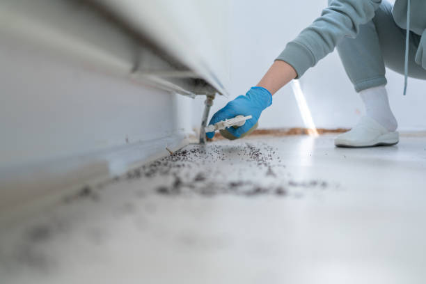 Best Pest Removal Services  in Sonora, TX